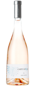 1748931464_Front_End_Website_Bottle_(34).png